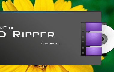 How to Rip a DVD using WonderFox DVD Ripper Pro? - 23